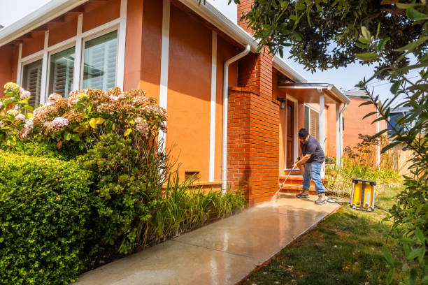 Best Affordable Power Washing  in Elkin, NC